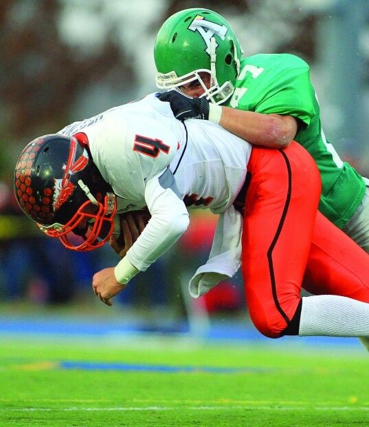 AllemanFB112010js